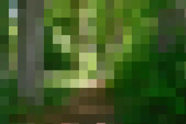 Verlengde Slotlaan 86 Zeist thumbnail 31