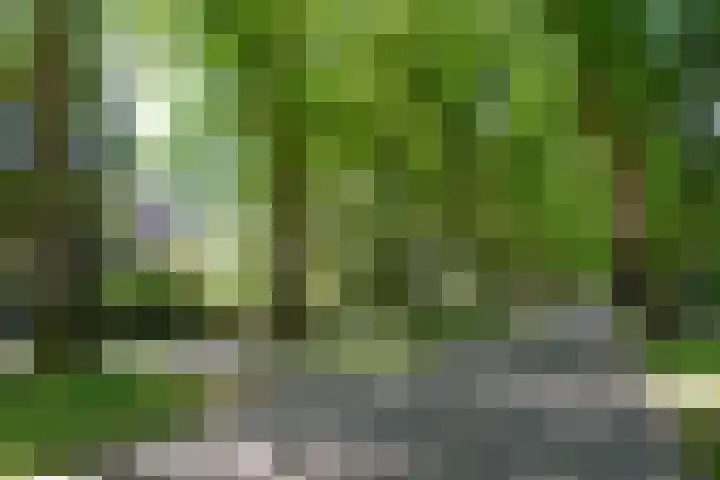 Verlengde Slotlaan 86 Zeist thumbnail 32