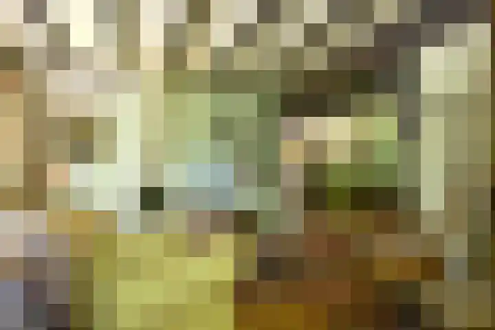Verlengde Slotlaan 86 Zeist thumbnail 4
