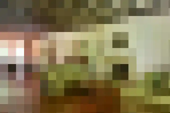 Verlengde Slotlaan 86 Zeist thumbnail 6