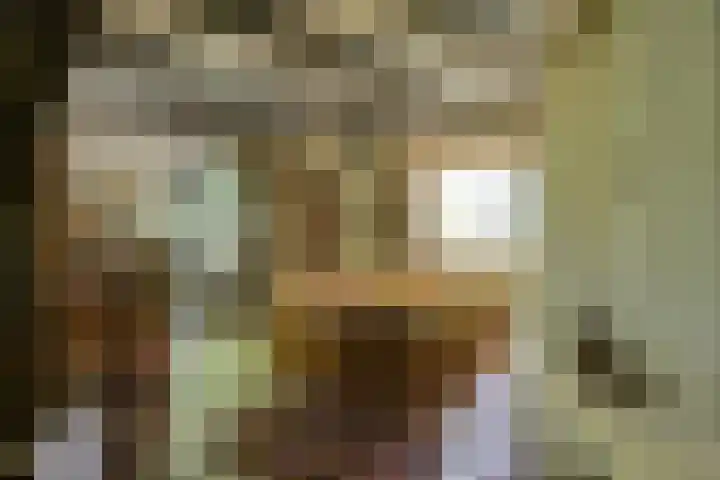 Verlengde Slotlaan 86 Zeist thumbnail 7