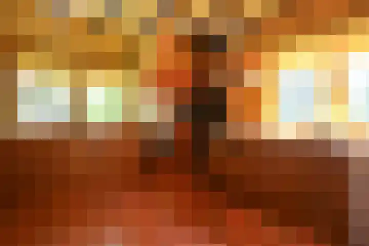 Verlengde Slotlaan 86 Zeist thumbnail 9