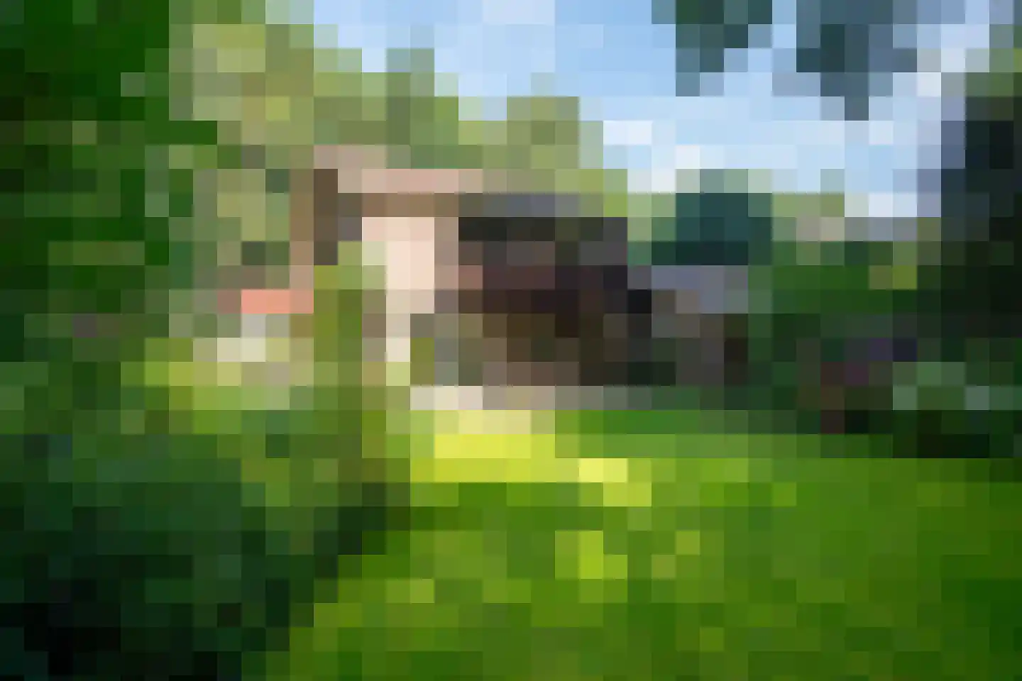 Verlengde Slotlaan 92 Zeist foto 2