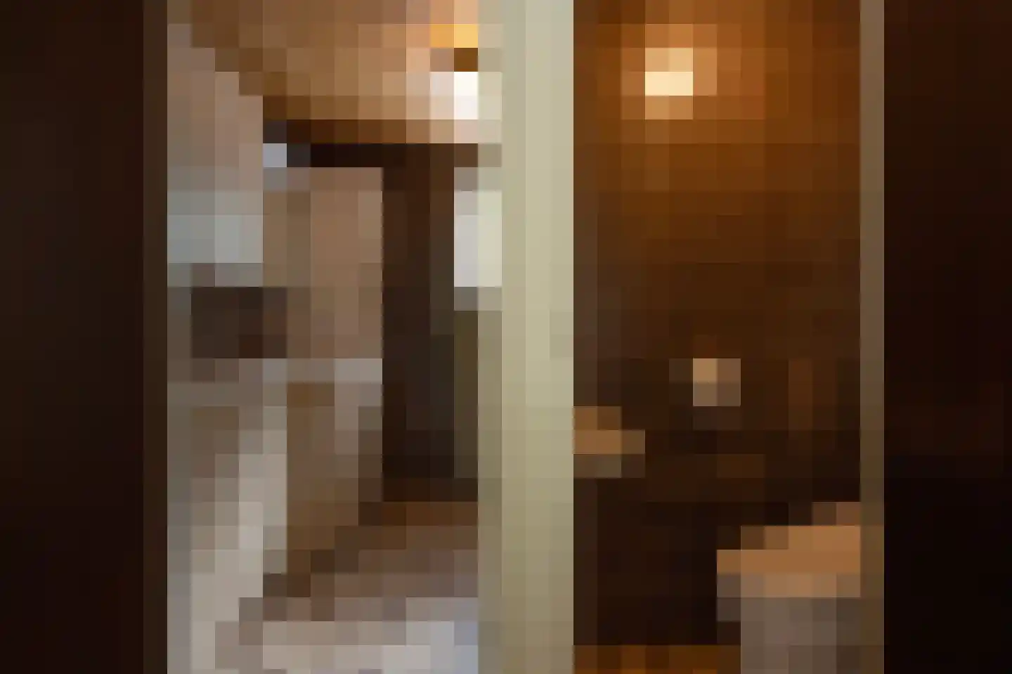 Verlengde Slotlaan 92 Zeist thumbnail 20