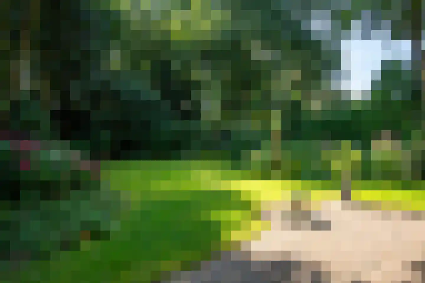 Verlengde Slotlaan 92 Zeist thumbnail 29