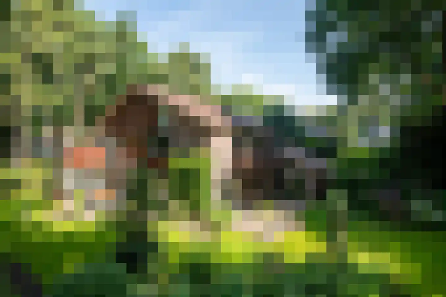 Verlengde Slotlaan 92 Zeist thumbnail 31