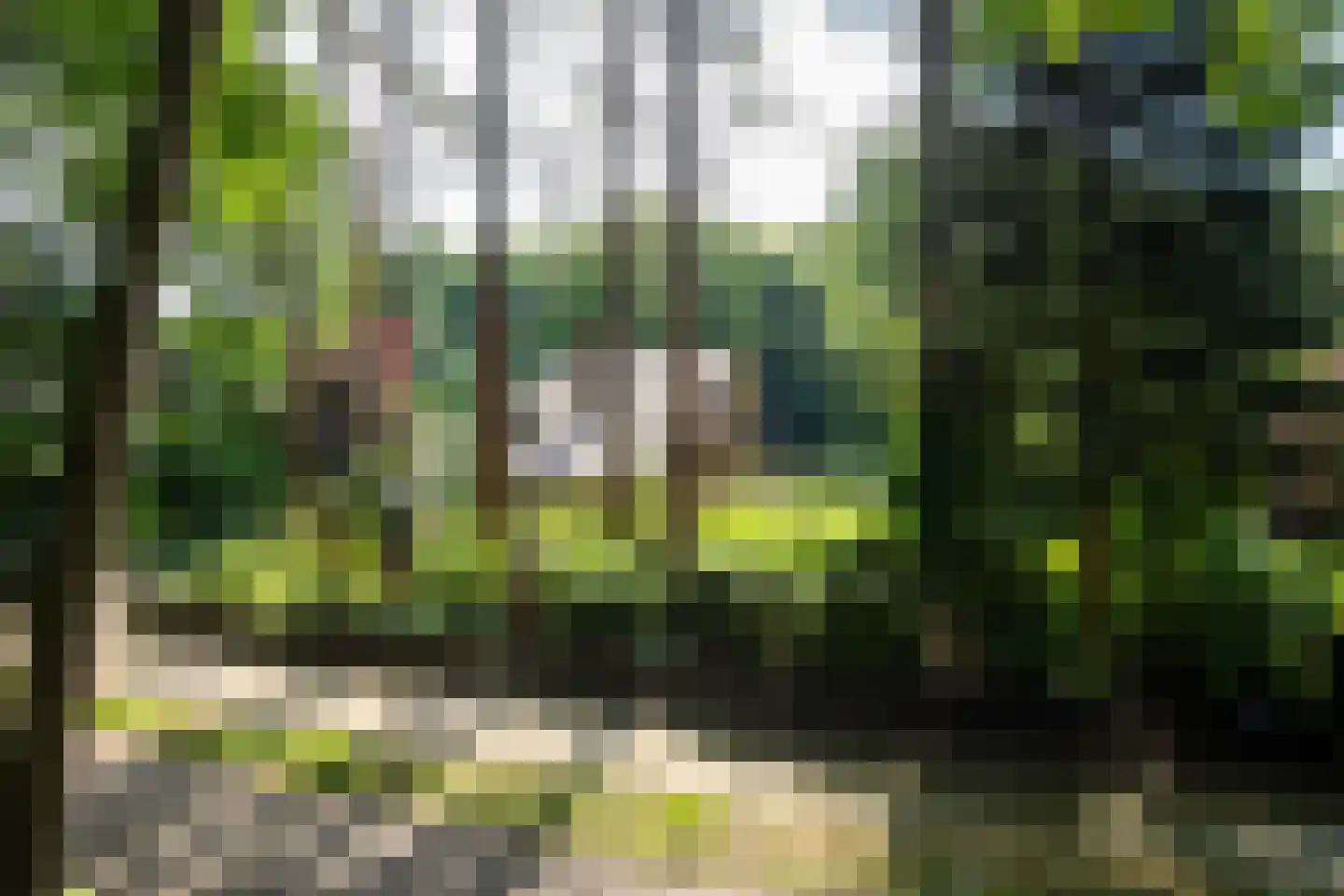 Verlengde Slotlaan 92 Zeist thumbnail 33