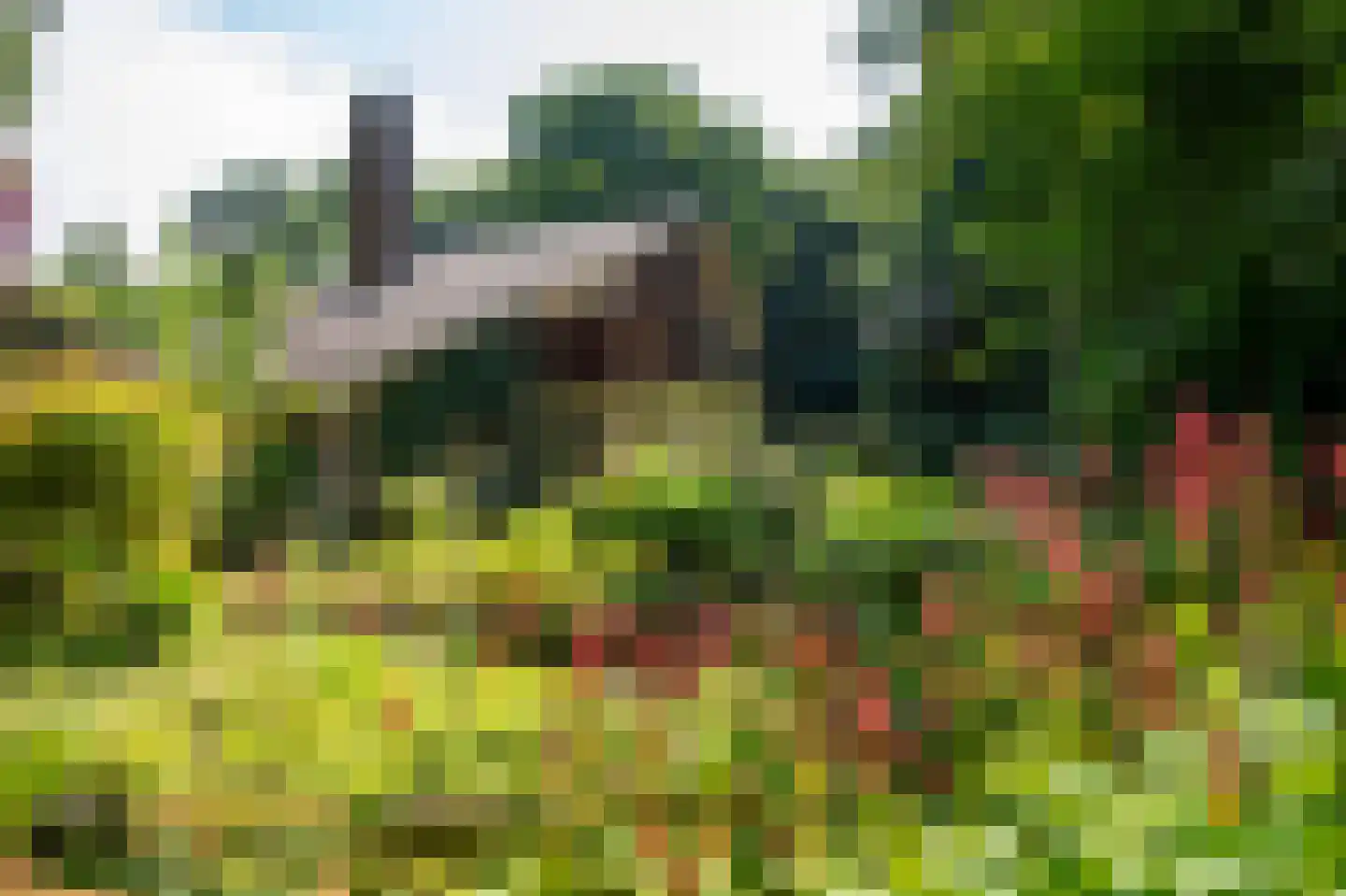 Verlengde Slotlaan 92 Zeist thumbnail 34