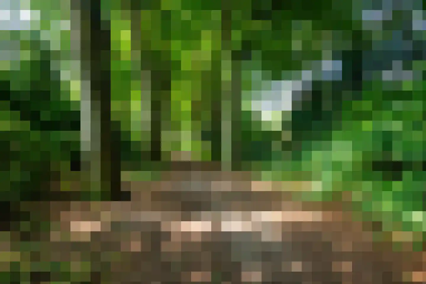 Verlengde Slotlaan 92 Zeist thumbnail 35