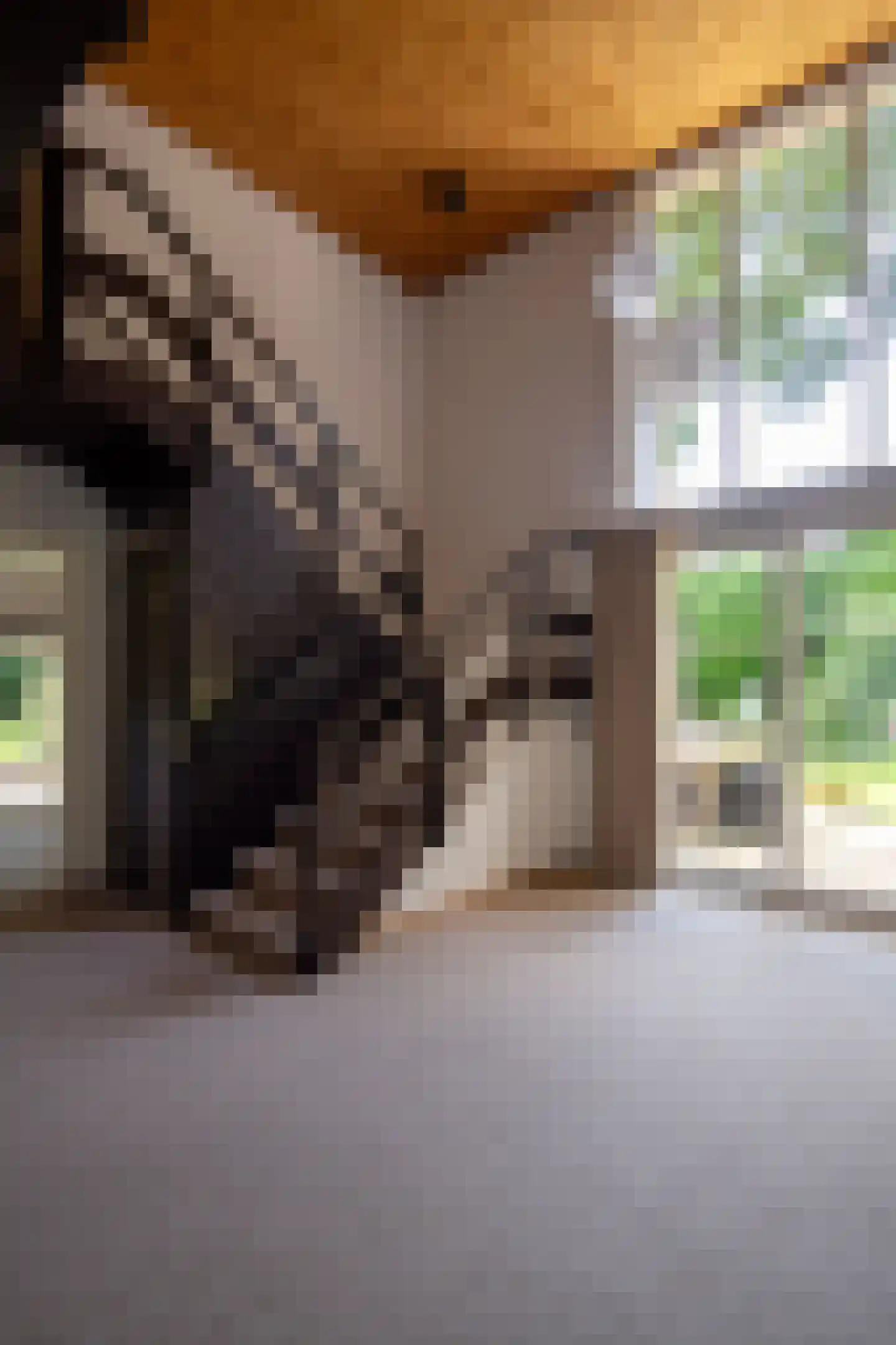 Verlengde Slotlaan 92 Zeist thumbnail 4