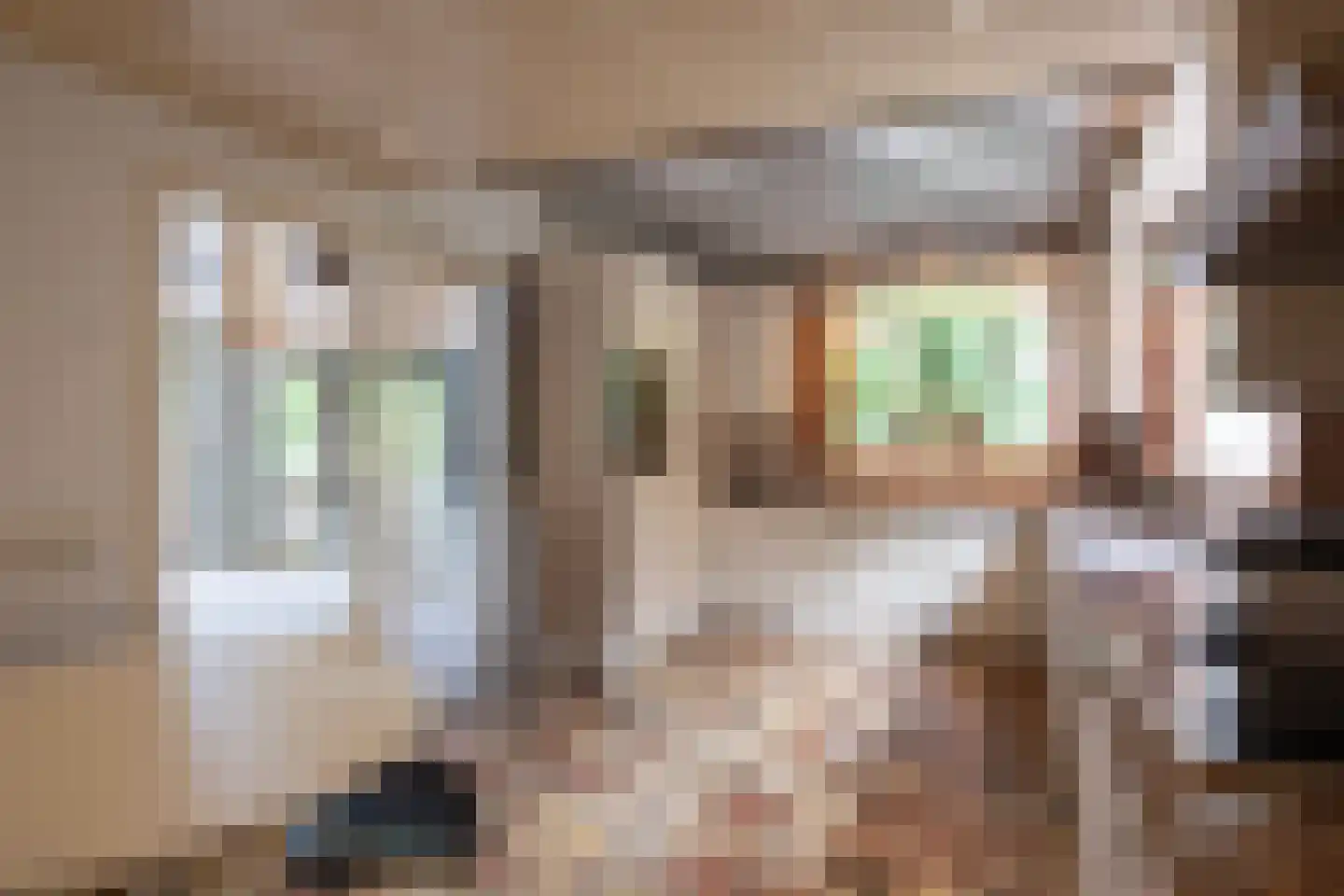 Verlengde Slotlaan 92 Zeist thumbnail 9