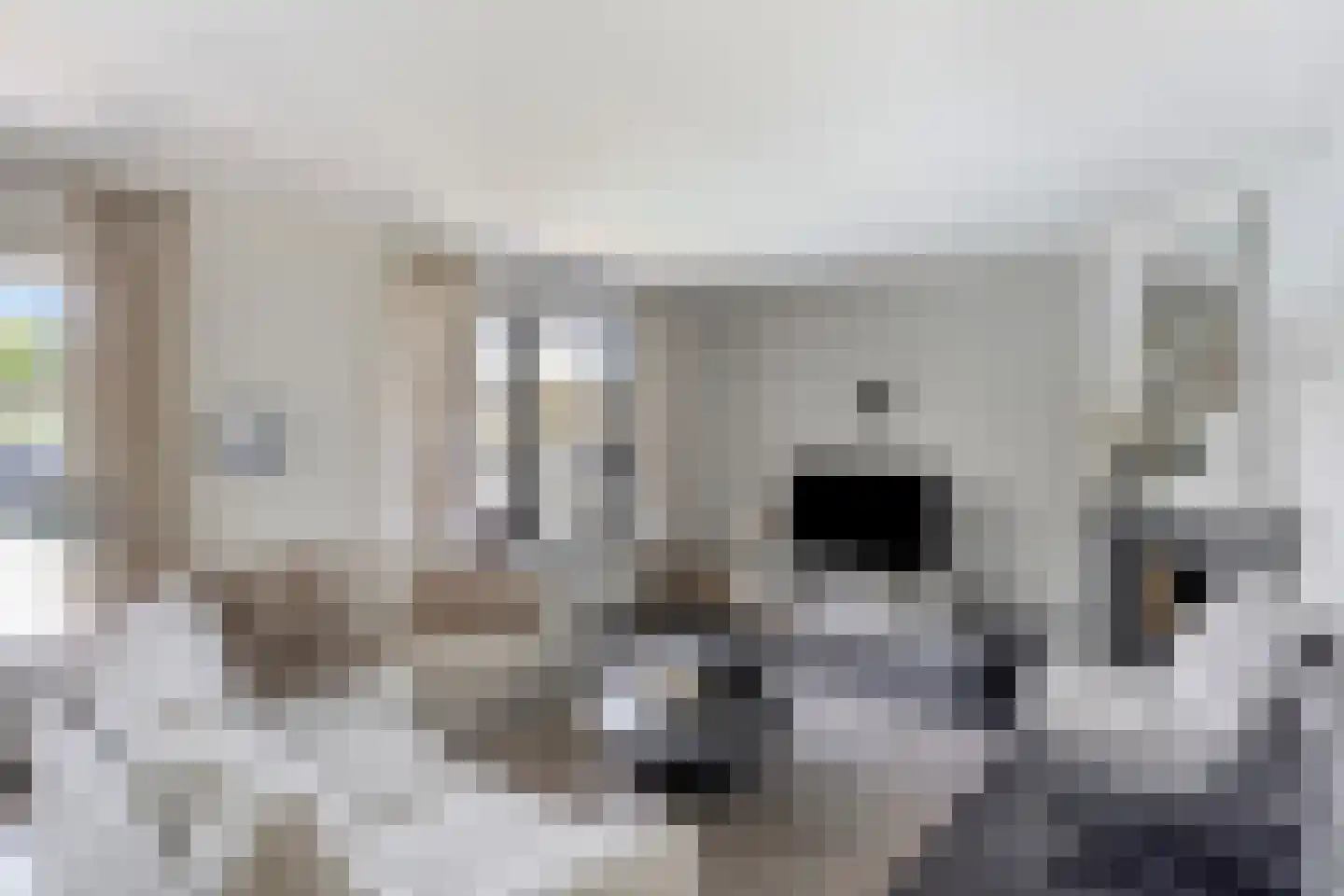 Verlengde Spoorlaan 12 Veenendaal thumbnail 12