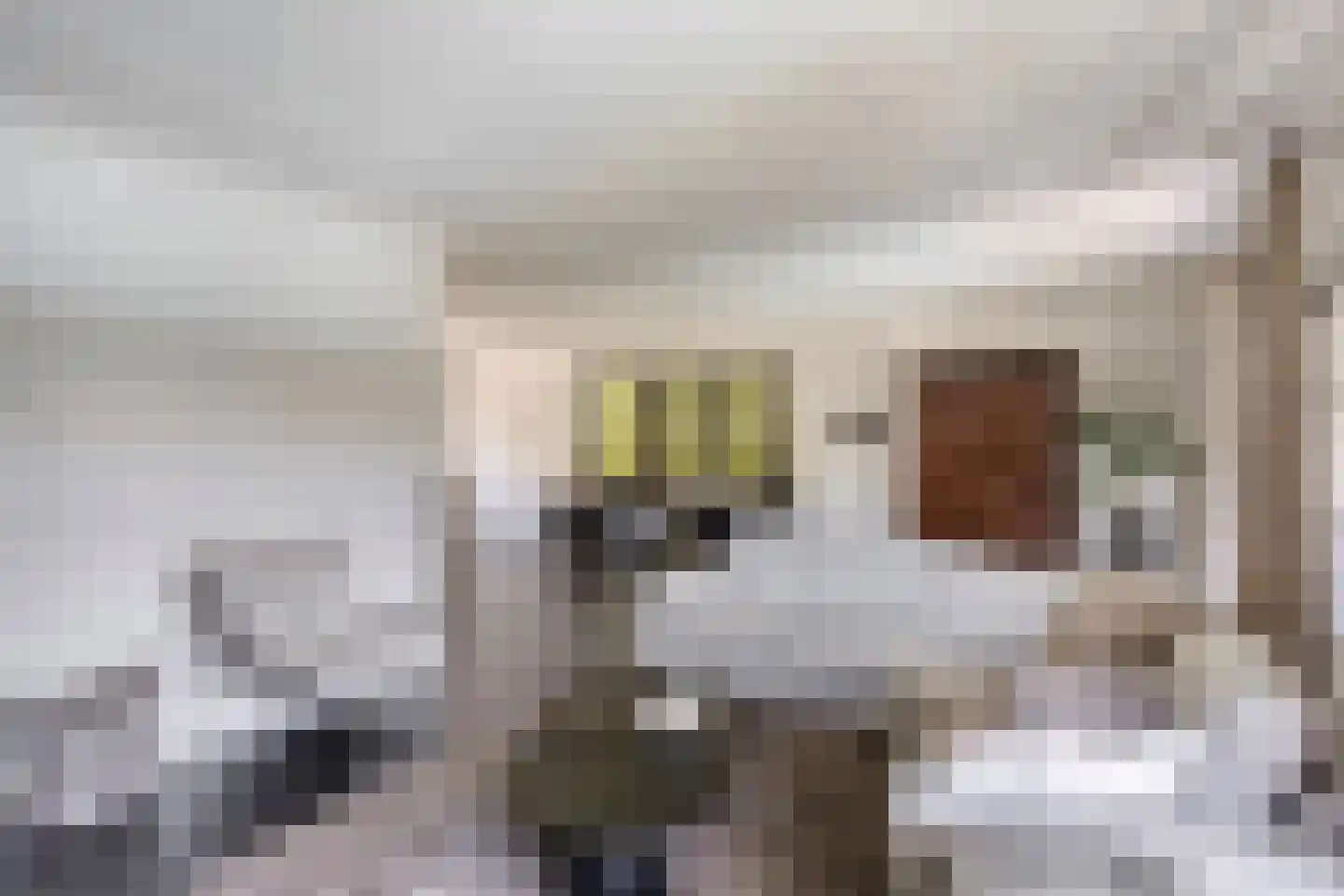 Verlengde Spoorlaan 12 Veenendaal thumbnail 13