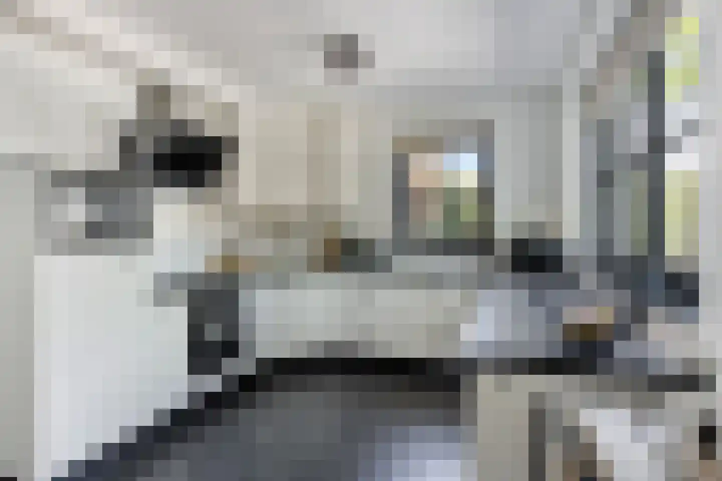 Verlengde Spoorlaan 12 Veenendaal thumbnail 19