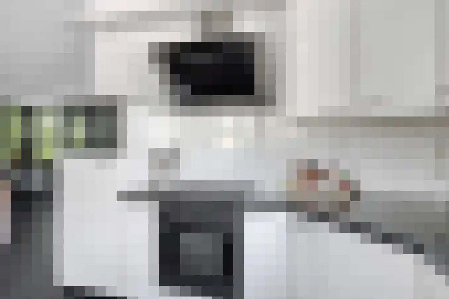 Verlengde Spoorlaan 12 Veenendaal thumbnail 21