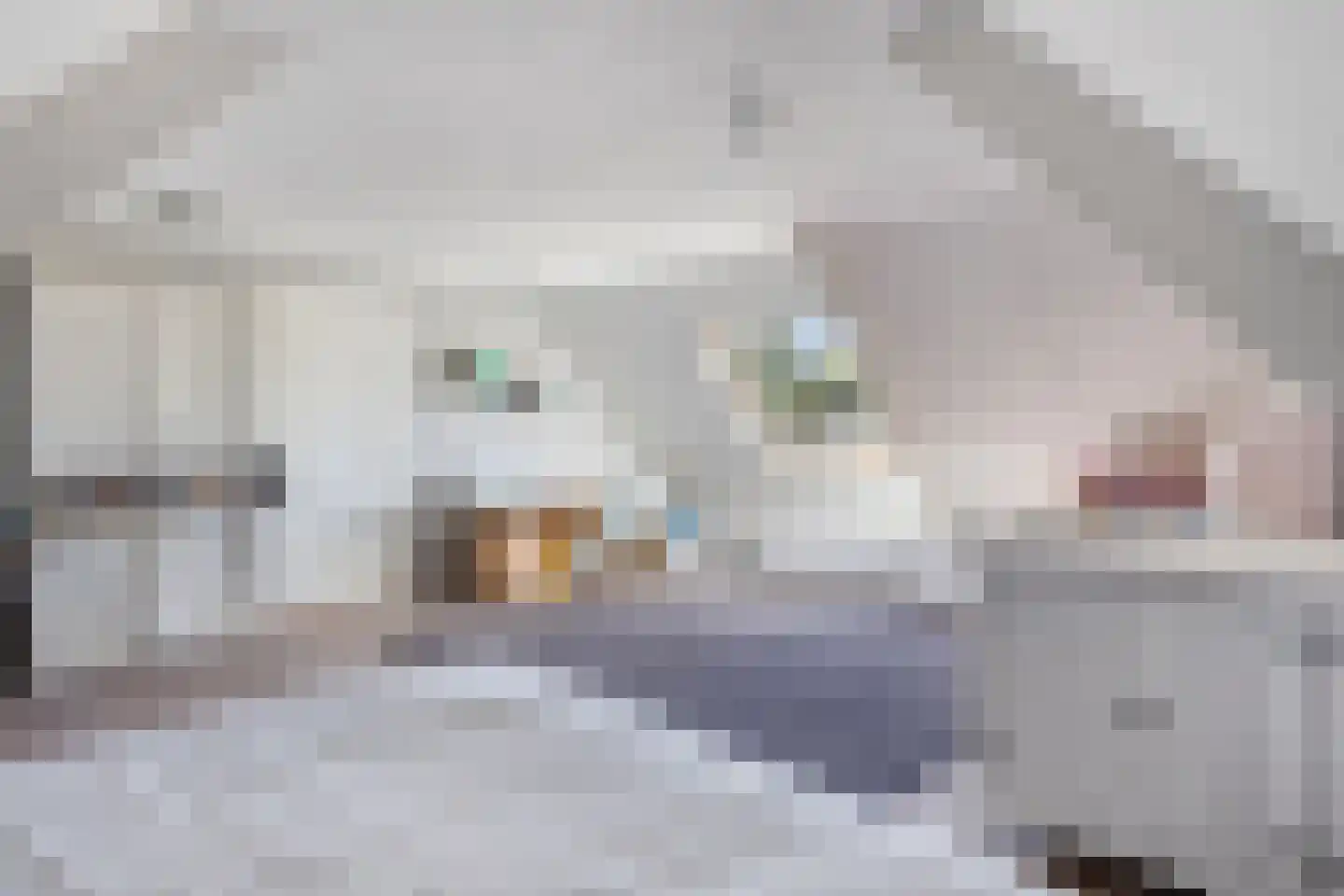 Verlengde Spoorlaan 12 Veenendaal thumbnail 33