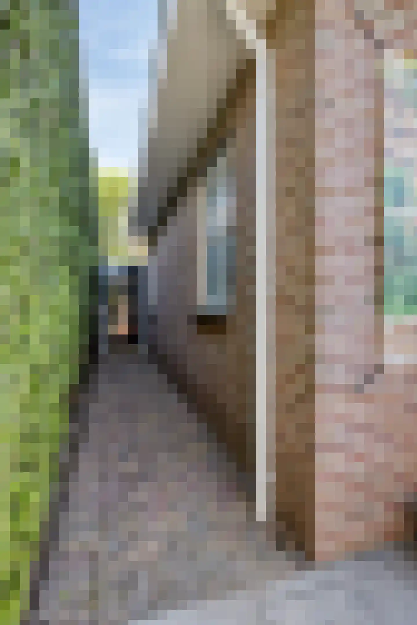Verlengde Spoorlaan 12 Veenendaal thumbnail 39