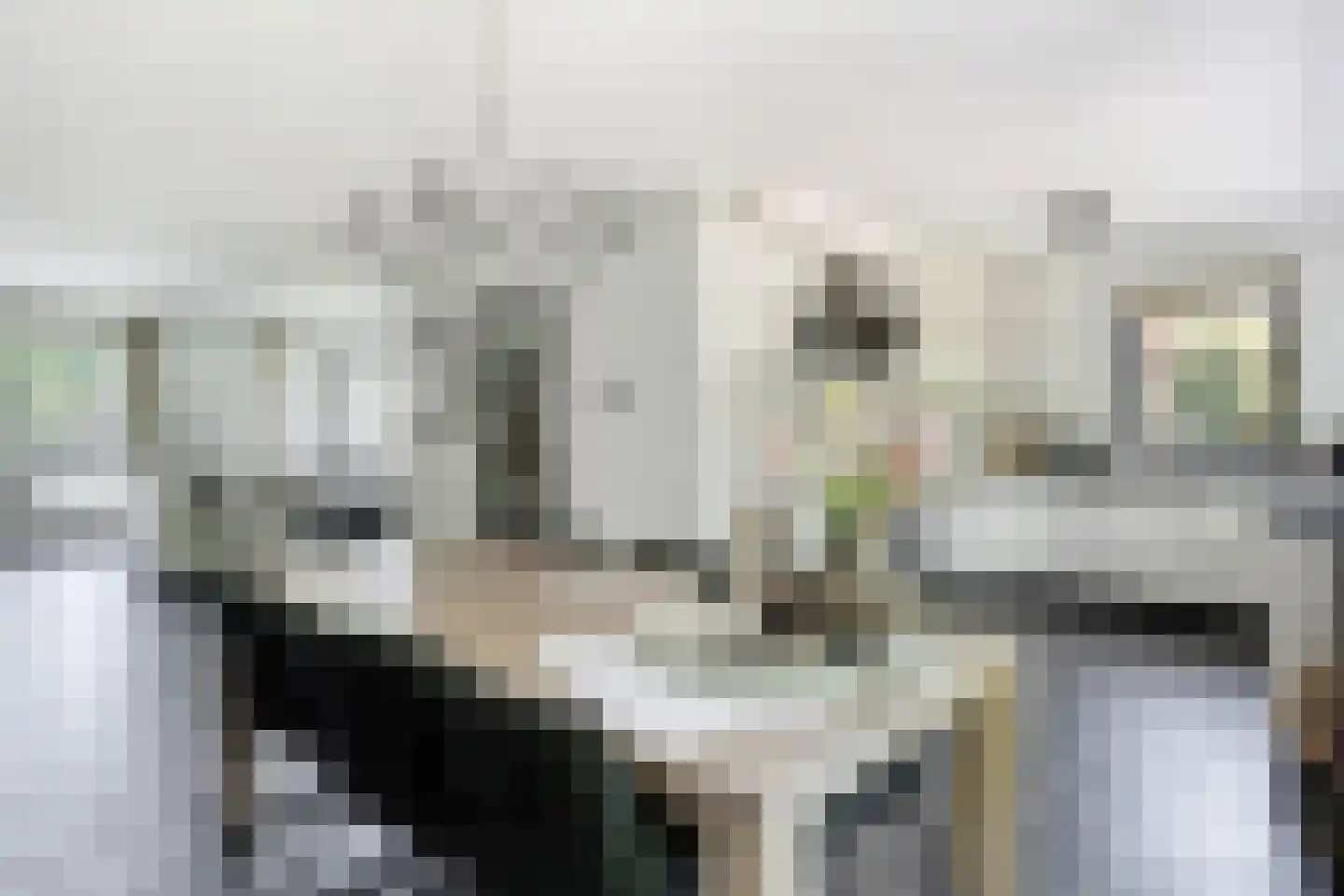 Verlengde Spoorlaan 12 Veenendaal thumbnail 4