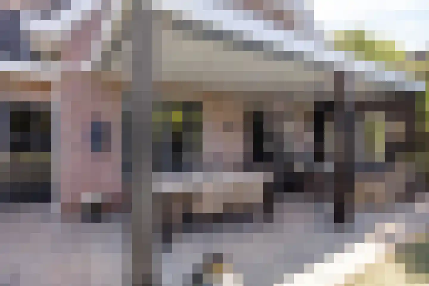 Verlengde Spoorlaan 12 Veenendaal thumbnail 46