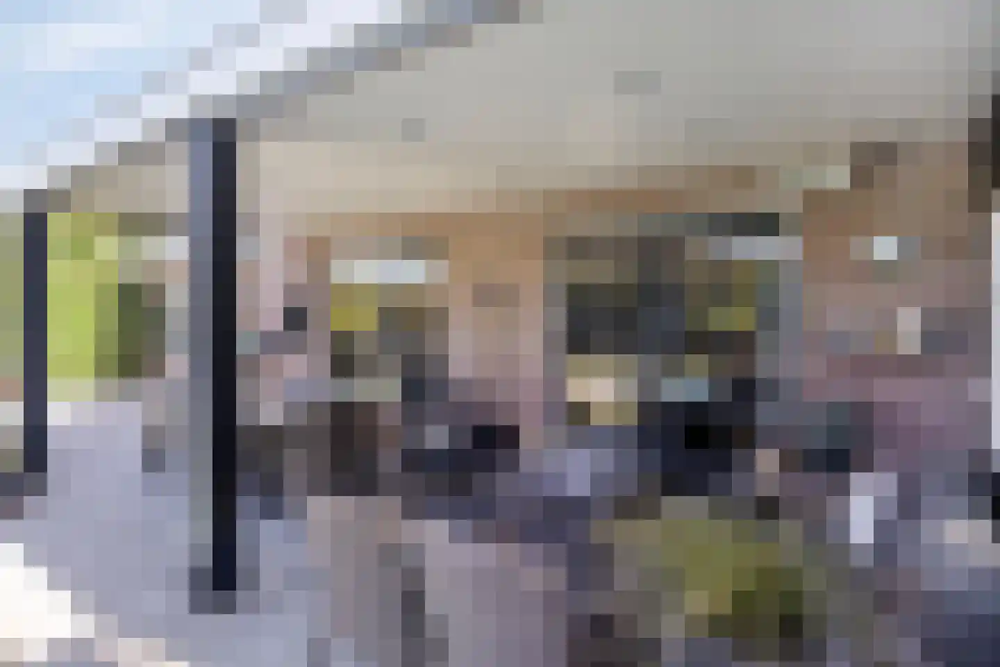 Verlengde Spoorlaan 12 Veenendaal thumbnail 47