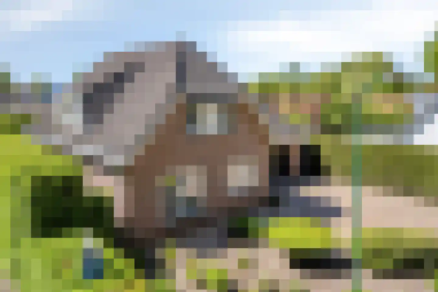 Verlengde Spoorlaan 12 Veenendaal thumbnail 60