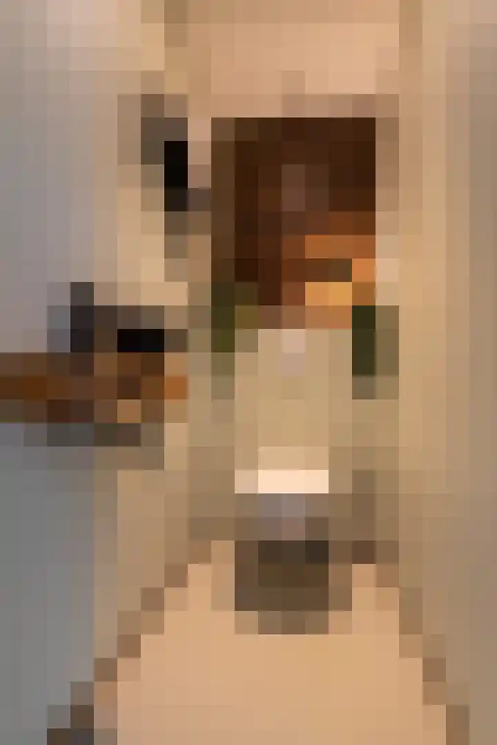 Verlengde Spoorlaan 14 Veenendaal thumbnail 24