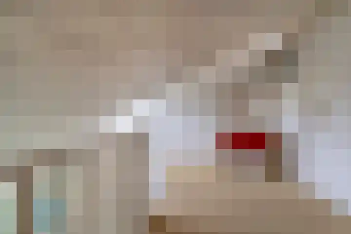 Verlengde Spoorlaan 14 Veenendaal thumbnail 31