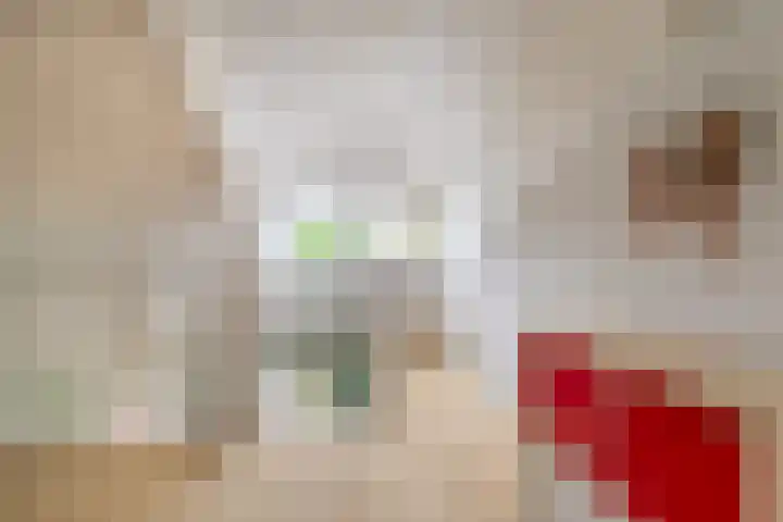 Verlengde Spoorlaan 14 Veenendaal thumbnail 32
