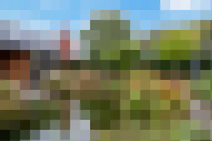 Verlengde Spoorlaan 14 Veenendaal thumbnail 39