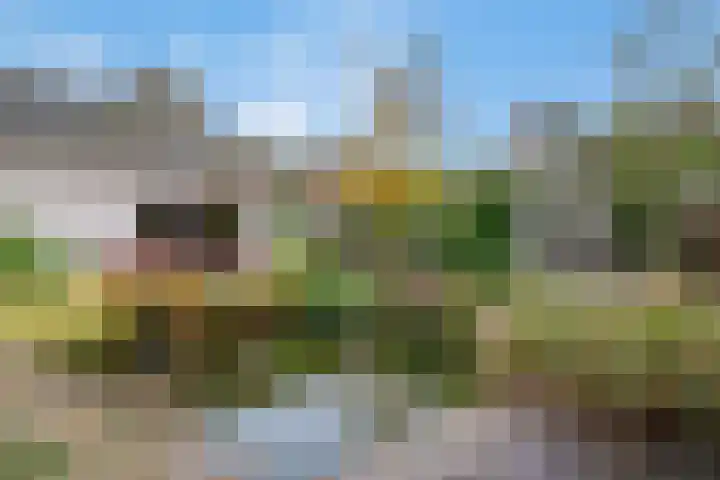 Verlengde Spoorlaan 14 Veenendaal thumbnail 41