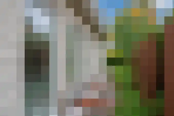 Verlengde Spoorlaan 14 Veenendaal thumbnail 45