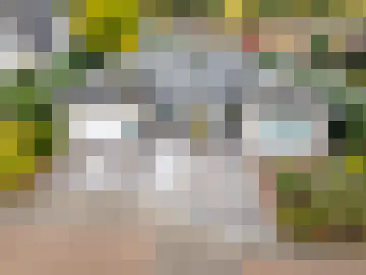 Verlengde Spoorlaan 14 Veenendaal thumbnail 47