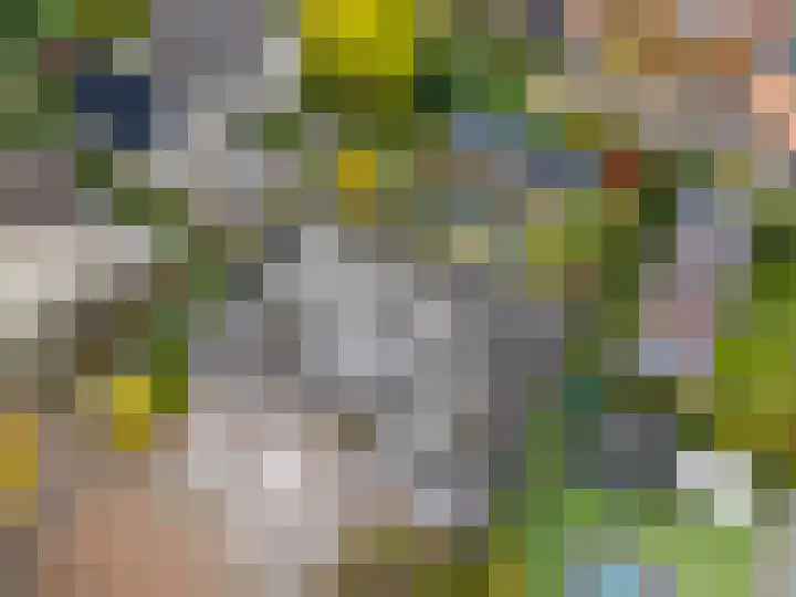Verlengde Spoorlaan 14 Veenendaal thumbnail 48
