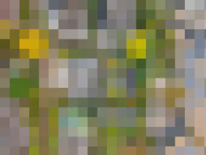 Verlengde Spoorlaan 14 Veenendaal thumbnail 49