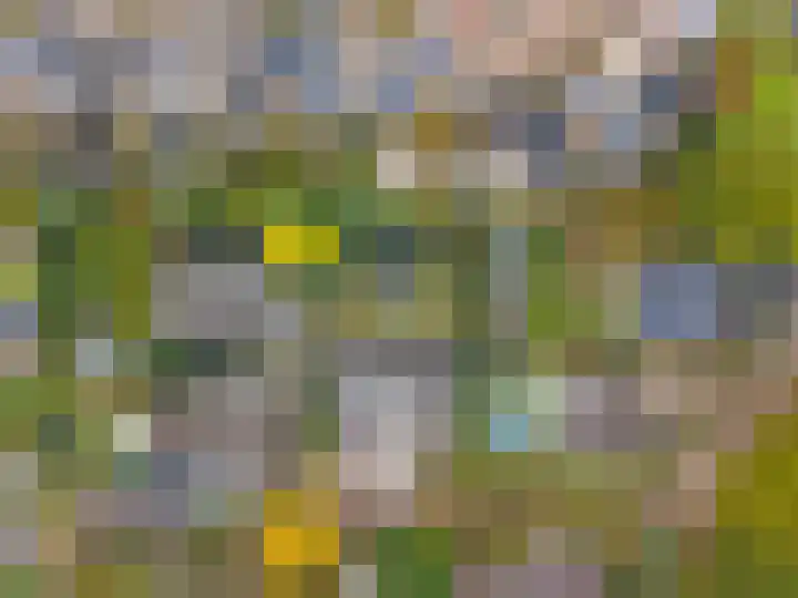 Verlengde Spoorlaan 14 Veenendaal thumbnail 51