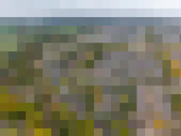 Verlengde Spoorlaan 14 Veenendaal thumbnail 52