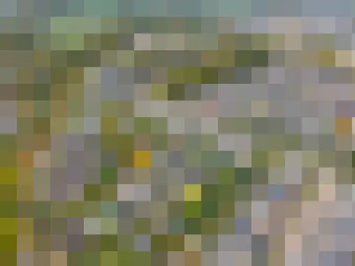 Verlengde Spoorlaan 14 Veenendaal thumbnail 54
