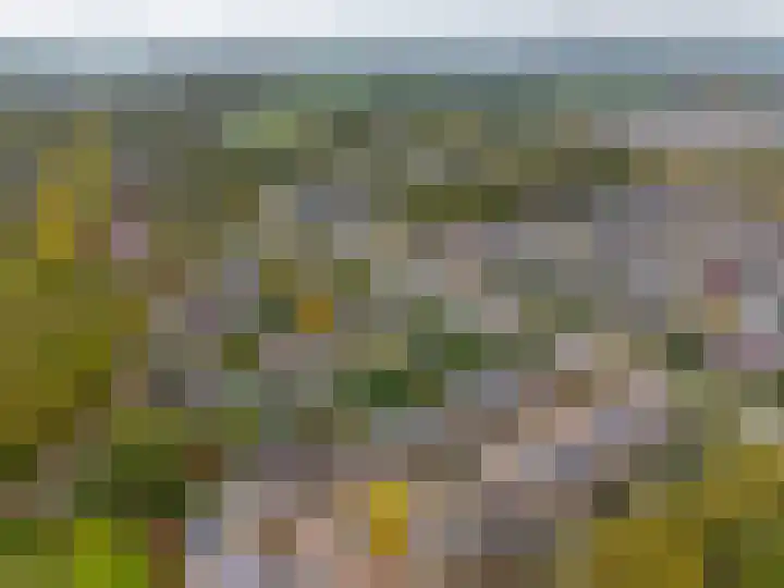 Verlengde Spoorlaan 14 Veenendaal thumbnail 55