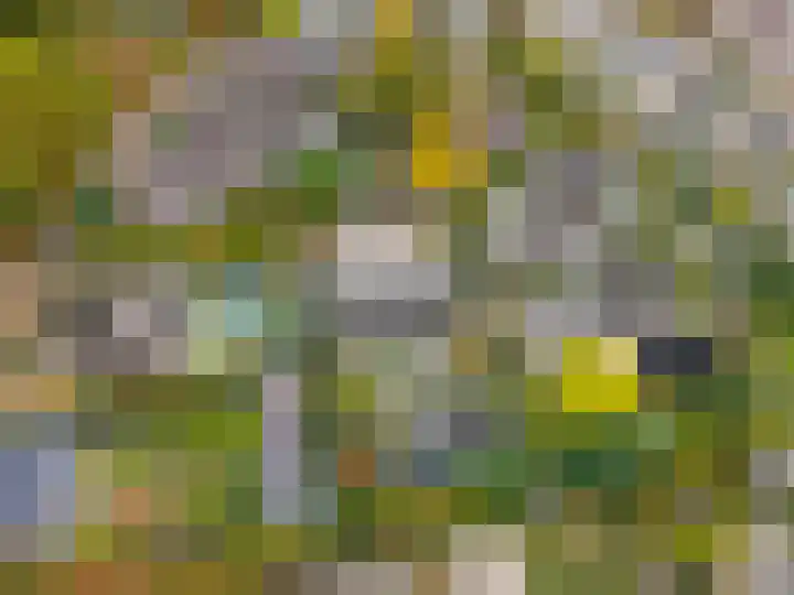 Verlengde Spoorlaan 14 Veenendaal thumbnail 56
