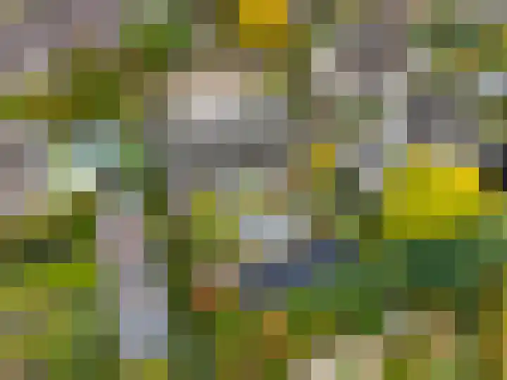 Verlengde Spoorlaan 14 Veenendaal thumbnail 58