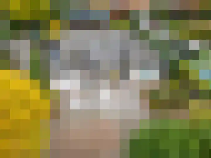 Verlengde Spoorlaan 14 Veenendaal thumbnail 59