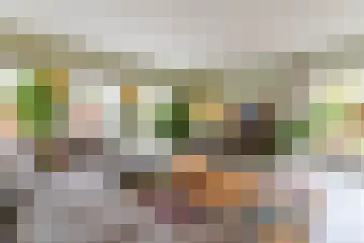 Verlengde Spoorlaan 14 Veenendaal thumbnail 8