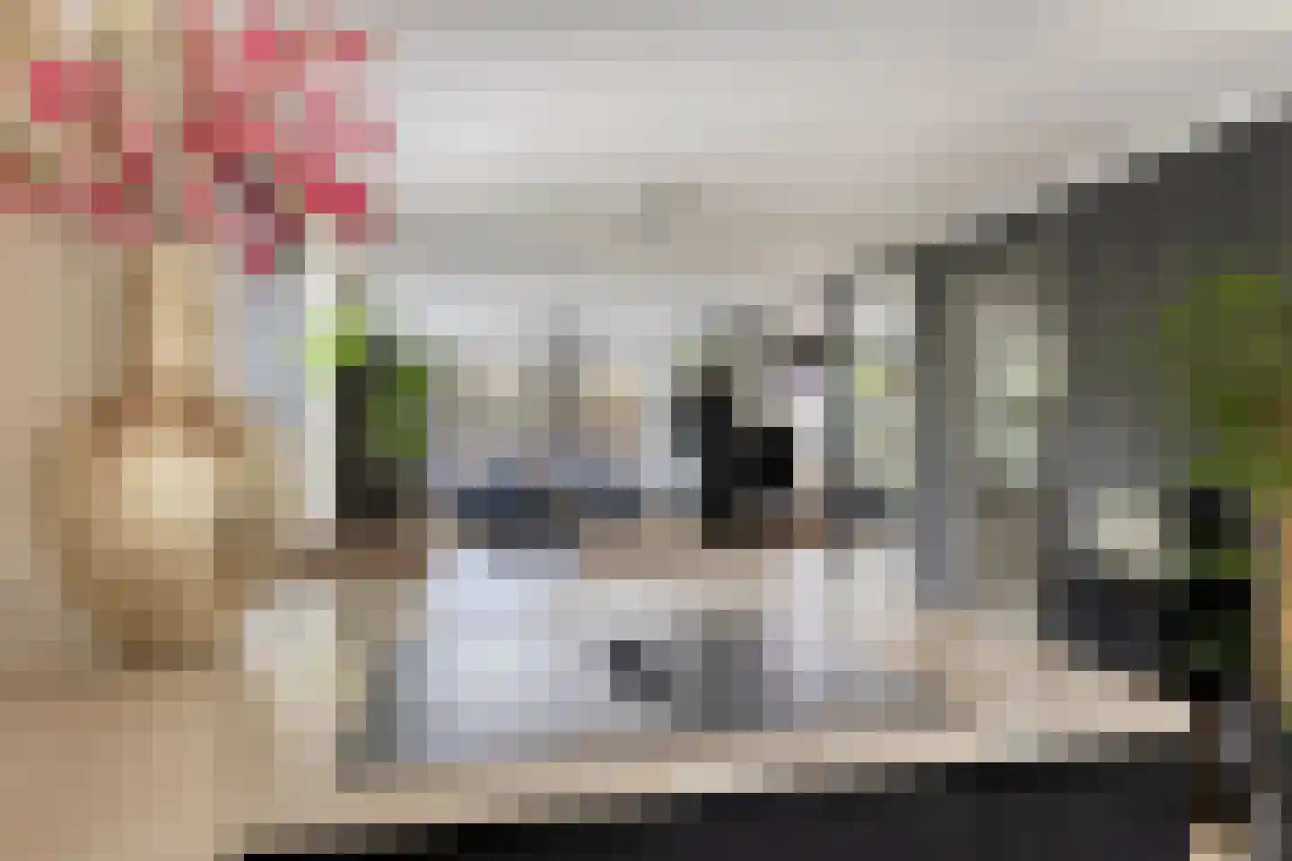 Verlengde Spoorlaan 46 Veenendaal thumbnail 24