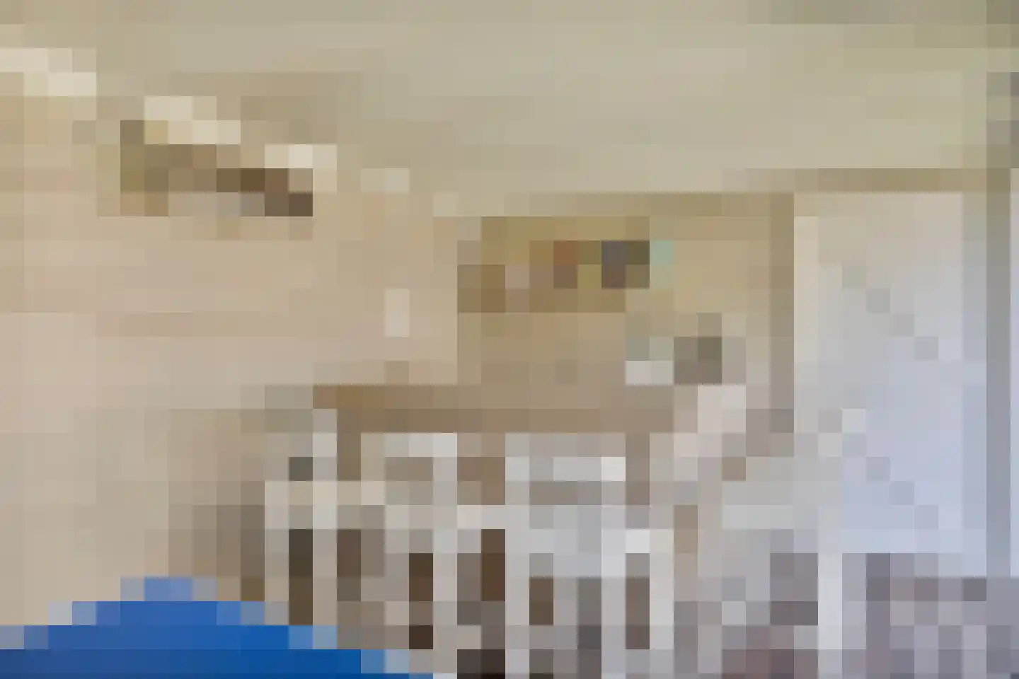 Verlengde Spoorlaan 46 Veenendaal thumbnail 51