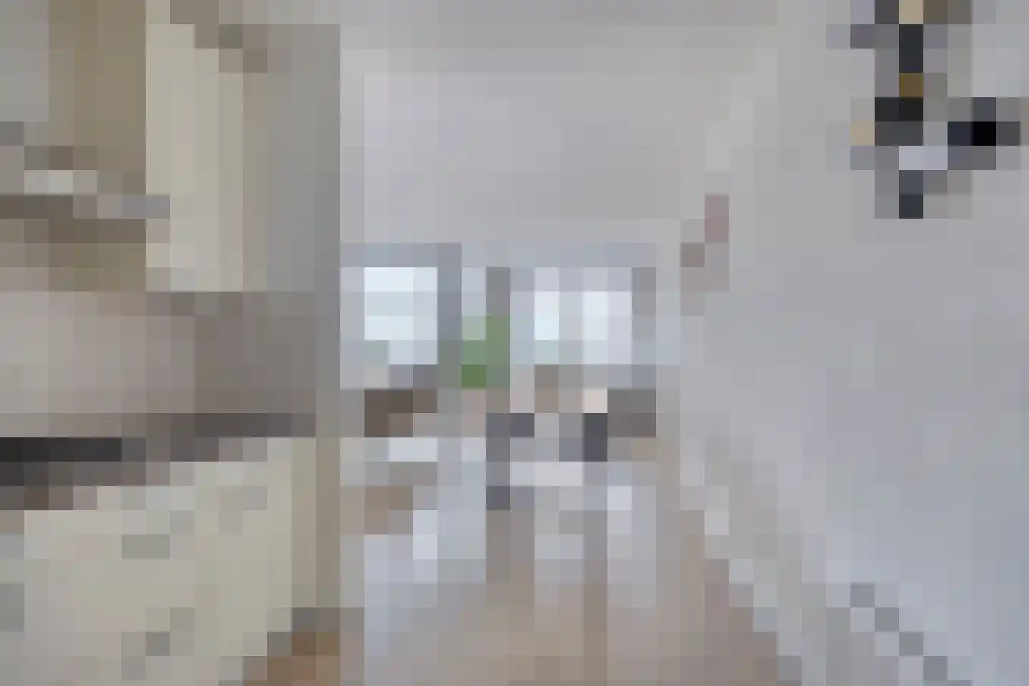 Verlengde Statenlaan 101 's-Hertogenbosch thumbnail 18