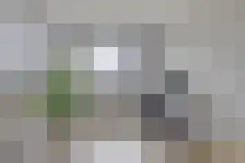 Verlengde Statenlaan 101 's-Hertogenbosch thumbnail 34