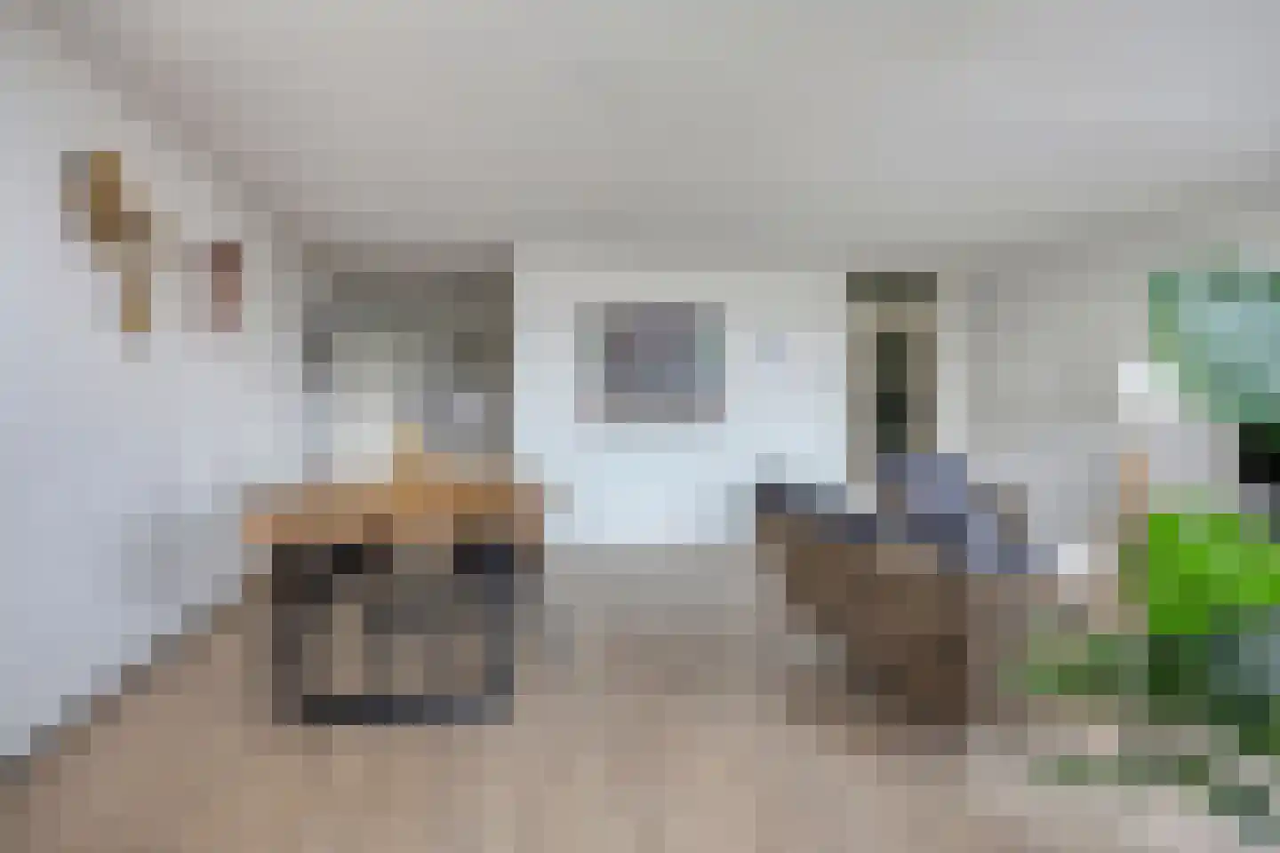 Verlengde Statenlaan 101 's-Hertogenbosch thumbnail 35