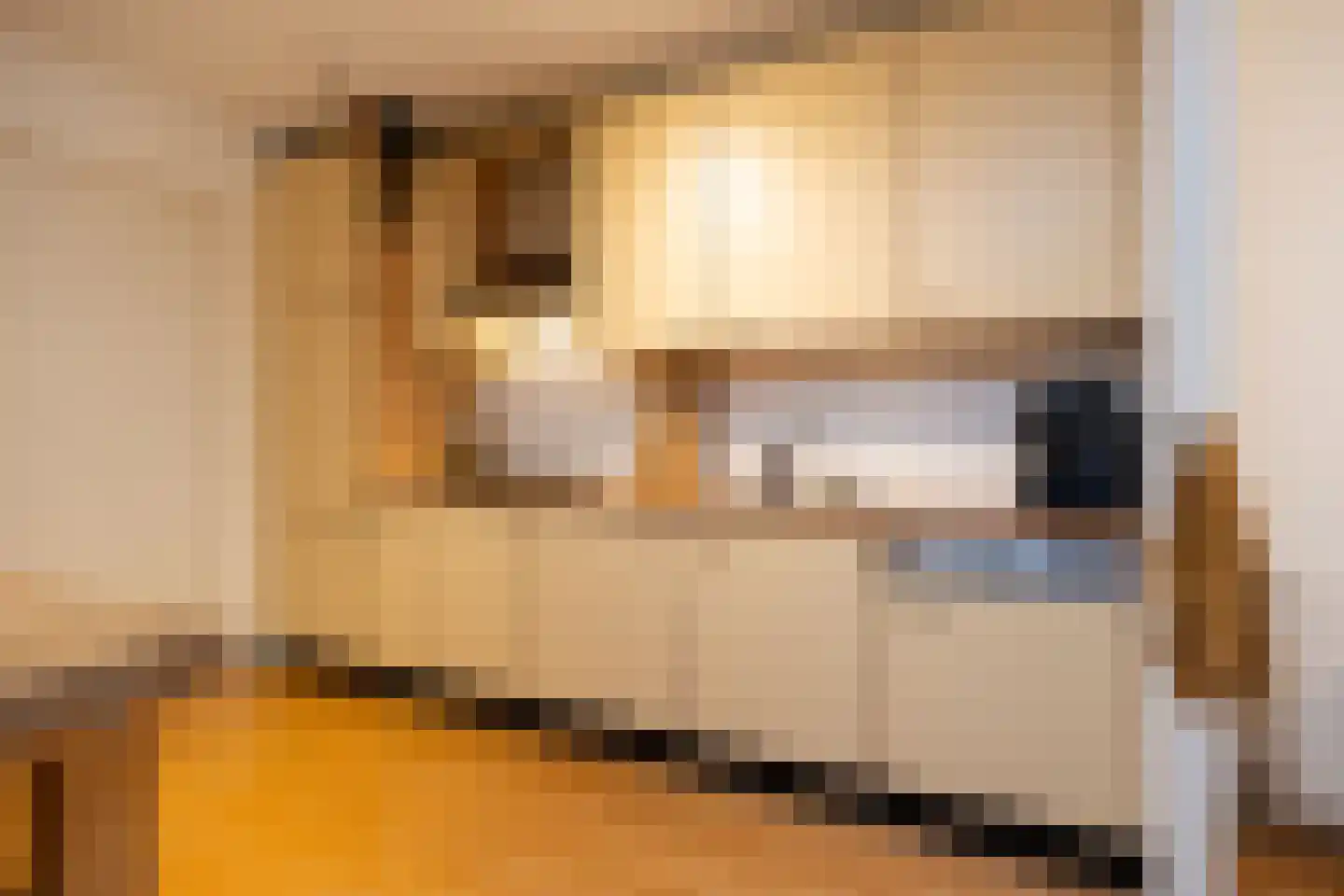 Verlengde Statenlaan 3 's-Hertogenbosch thumbnail 11
