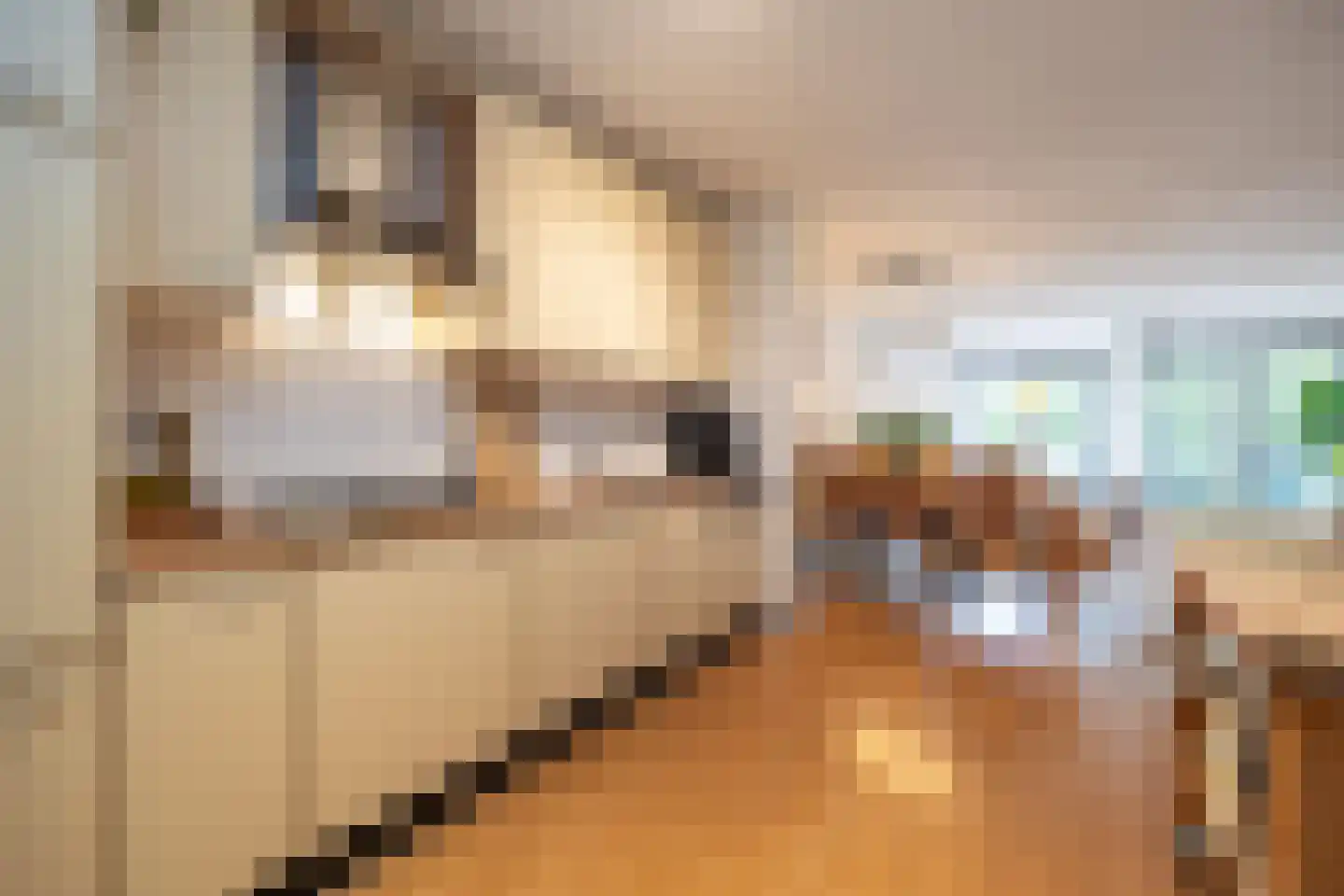 Verlengde Statenlaan 3 's-Hertogenbosch thumbnail 12