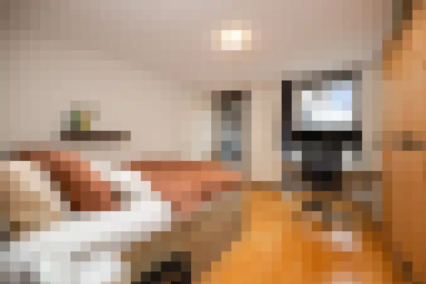 Verlengde Statenlaan 3 's-Hertogenbosch thumbnail 17